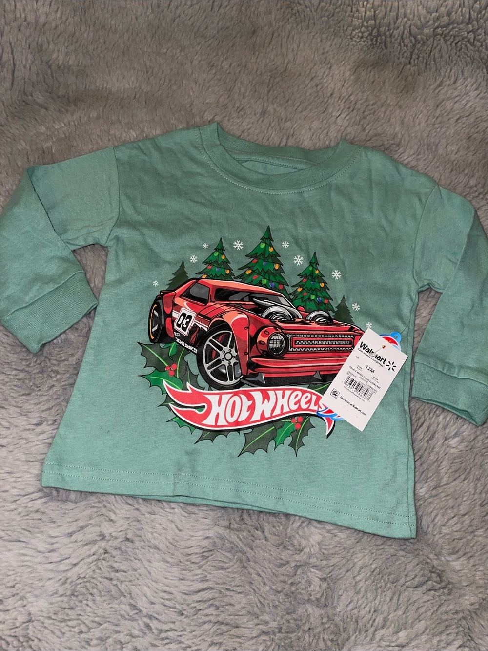 Hot Wheels Boys' Long Sleeve Tee - Mint Green with Red Car Graphic